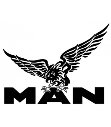 Eagle Man