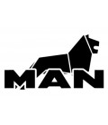 Stickers Man Lion
