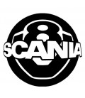 Boule de billard Scania